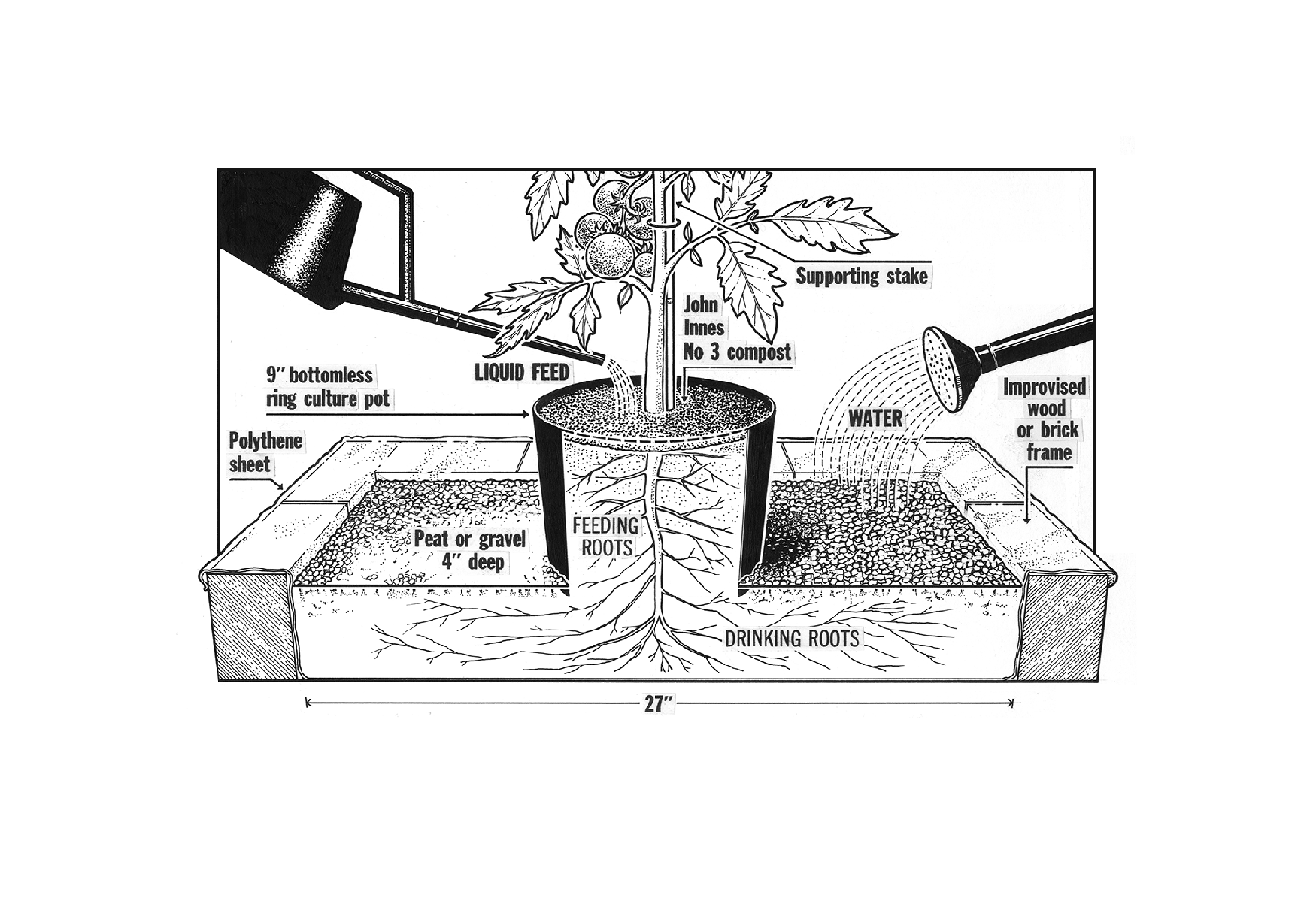 Slide 7